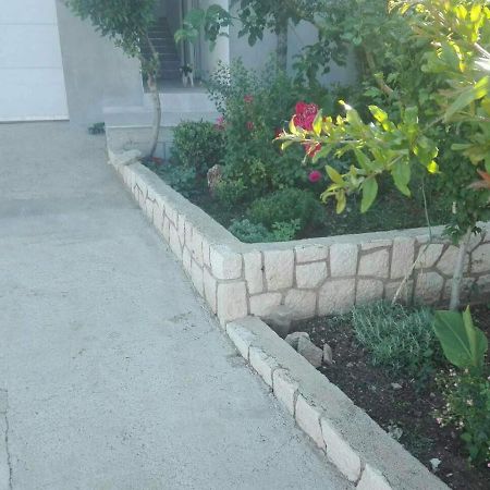 Apartman Vuleta Ražanac エクステリア 写真