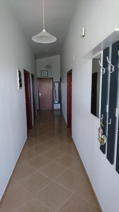 Apartman Vuleta Ražanac エクステリア 写真